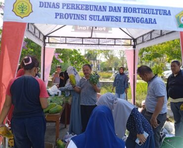 dinas perkebunan hortikultura - sultra